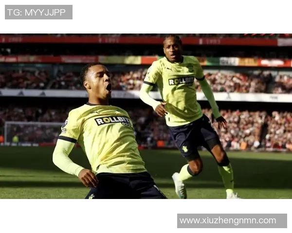 南安普顿主场迎战利物浦双方争夺英超关键三分的精彩对决